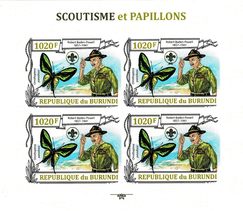 Paradise Birdwing (Ornithoptera paradisea)