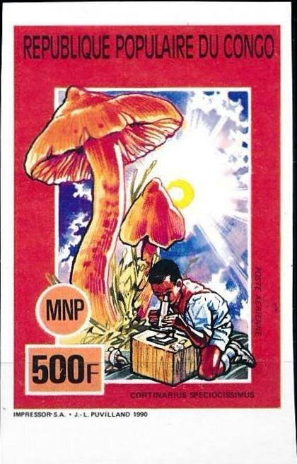 Cortinarius speciocissimus