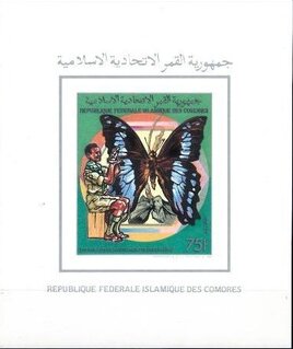 Green-banded Swallowtail (Papilio nireus) - Male