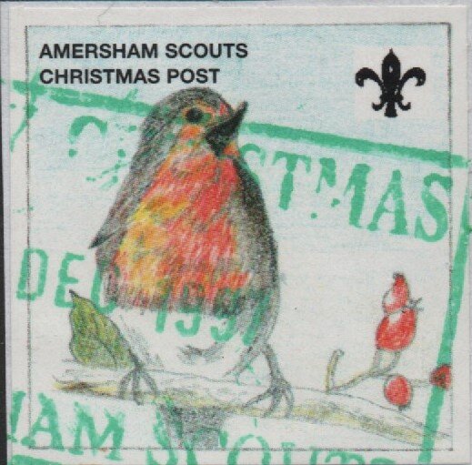 Robin (Amersham Scouts)