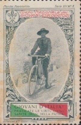 Serie XIV N.8 — Scout cyclist