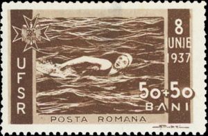 Swimming — 50 + 50 b