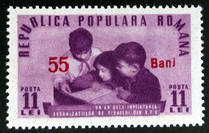 Young Pioneers learning — 55 b on 11 lei