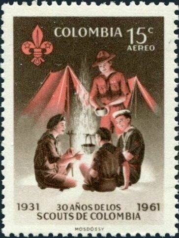 Boy Scouts at the campfire