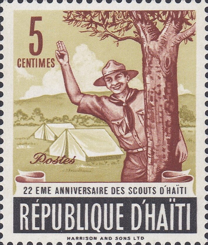 Scout salute at camp