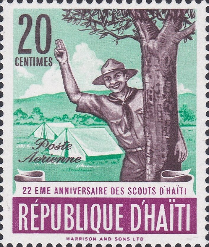 Scout salute at camp