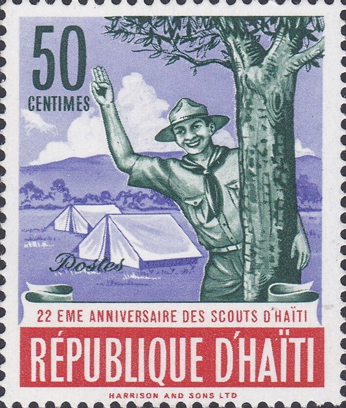 Scout salute at camp