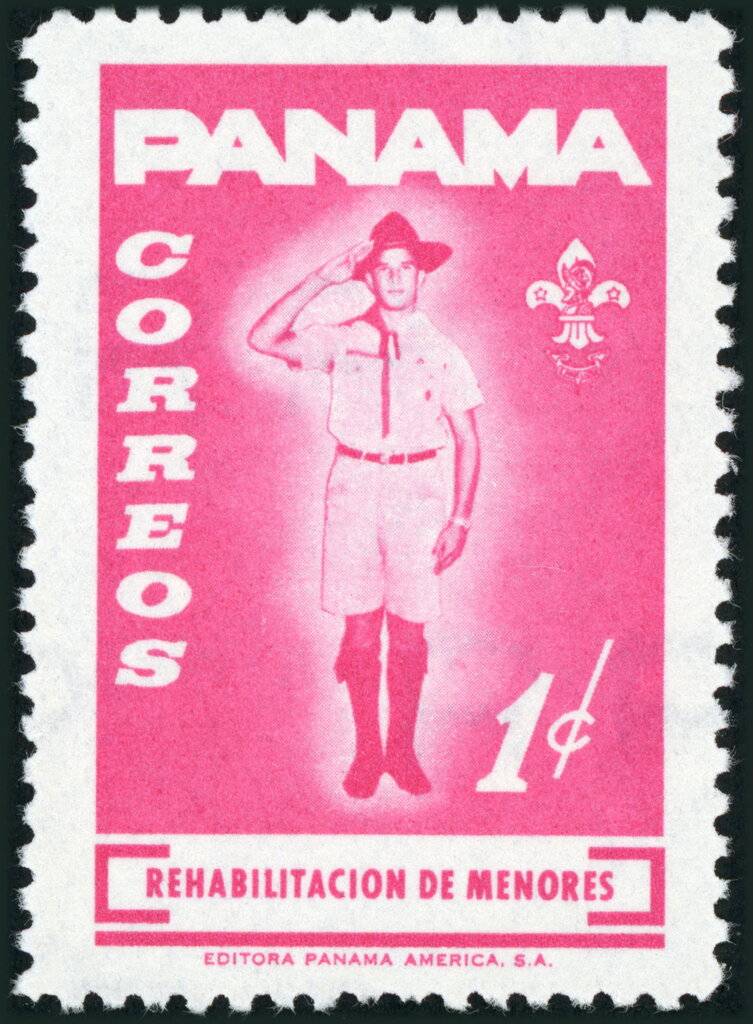 Scout