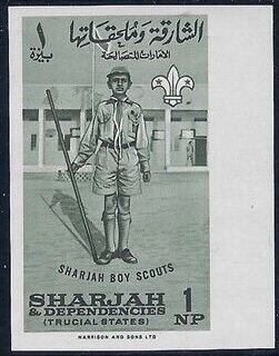 Scout with staff