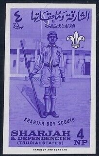 Scout with staff