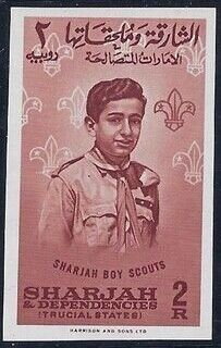 Scout portrait