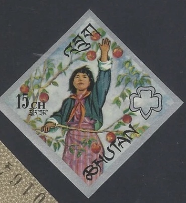 Girl Guide picking fruit