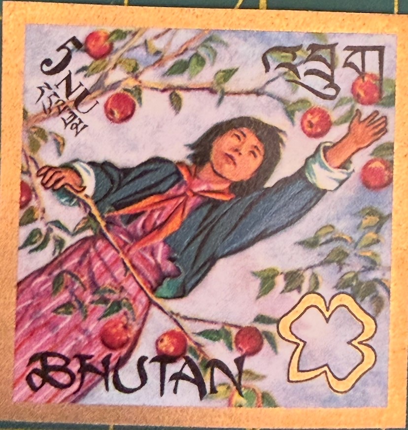 Girl Guide picking fruit
