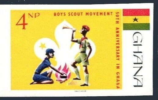 Scouts at the campfire before a Scout lily