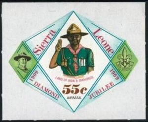 Scout salute