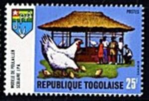 School poultry house