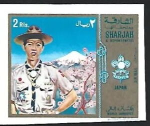 Scout from Japan