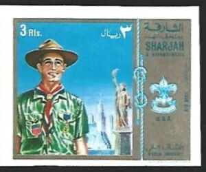 Scout from the United States