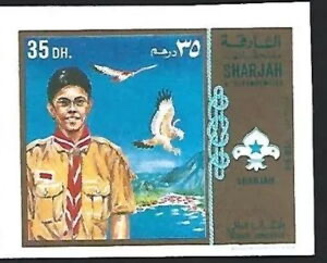 Scout from Sharjah