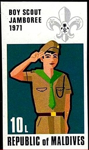 Scout salute
