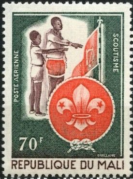 Scouts saluting a flag