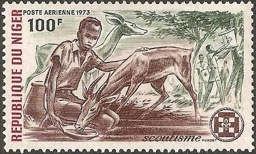 Scout watering a gazelle