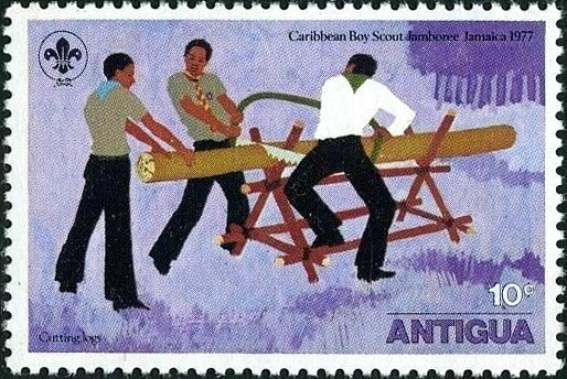 Cutting logs