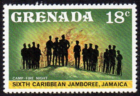 Camp-fire night