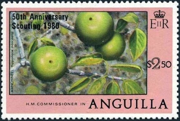 Manchineel fruit, overprinted