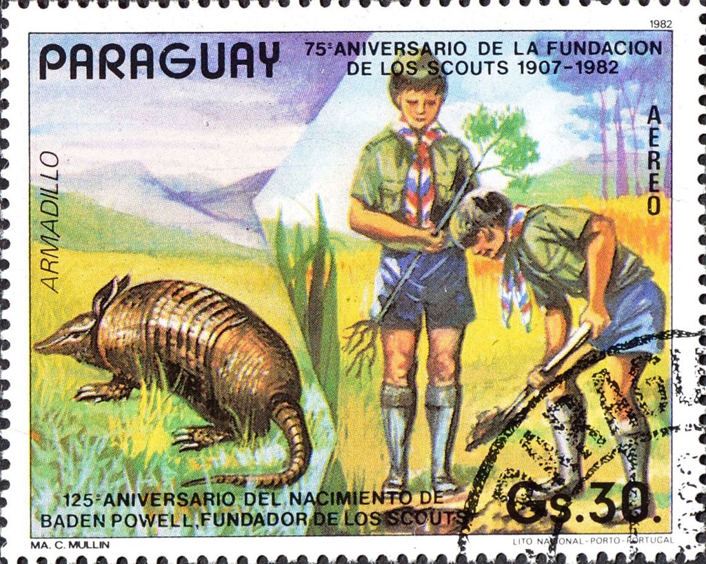Seven-banded Armadillo (Dasypus septemcinctus)