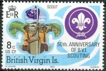 Scouts Raising Flag