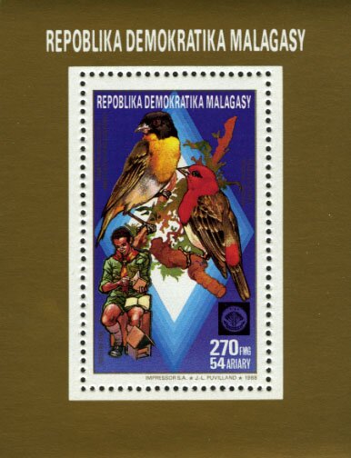 Foudia omissa and Nelicurvius nelicourvii