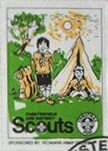 Scouting Activities