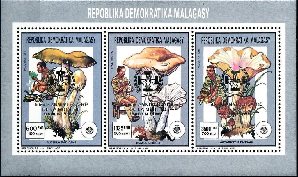 Scouts and Mushrooms - Overprinted