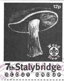 Wood Blewit