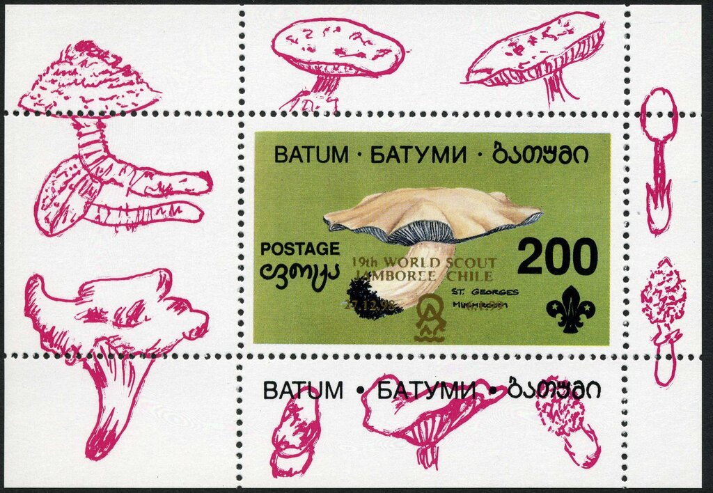 Mushrooms - "19th World Scout Jamboree Chile"