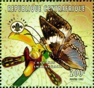 Western Blue Charaxes (Charaxes smaragdalis), Orchid