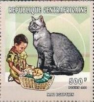 Egyptian mau cat