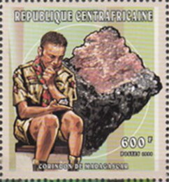 Scouts and minerals