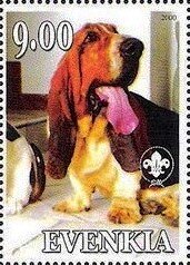 Basset Hound