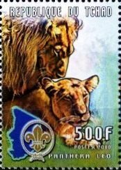 Panthera leo