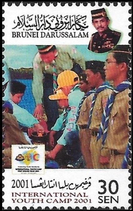 Scouts and leader