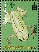 Frog