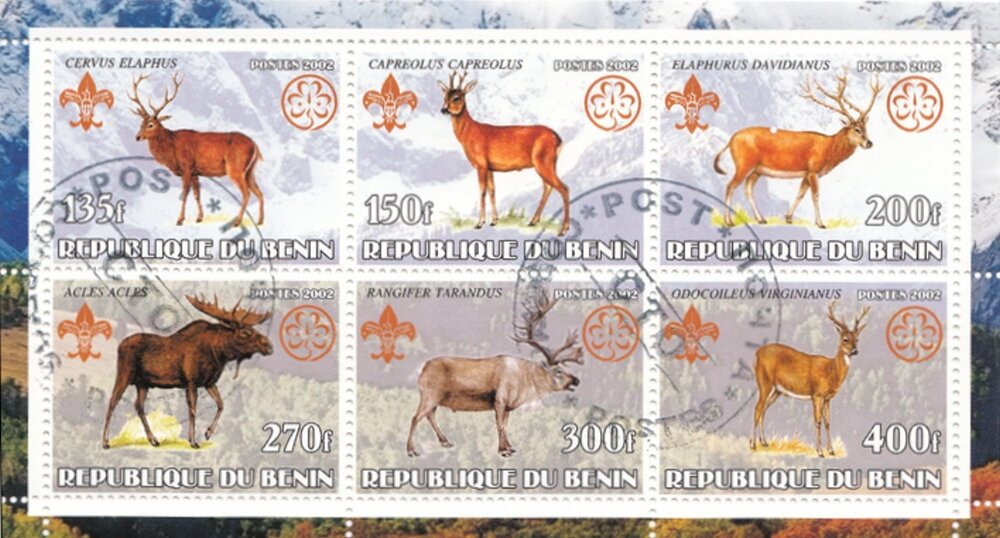 Deers