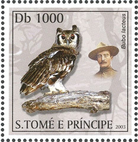 Verreaux's Eagle-Owl (Bubo lacteus)