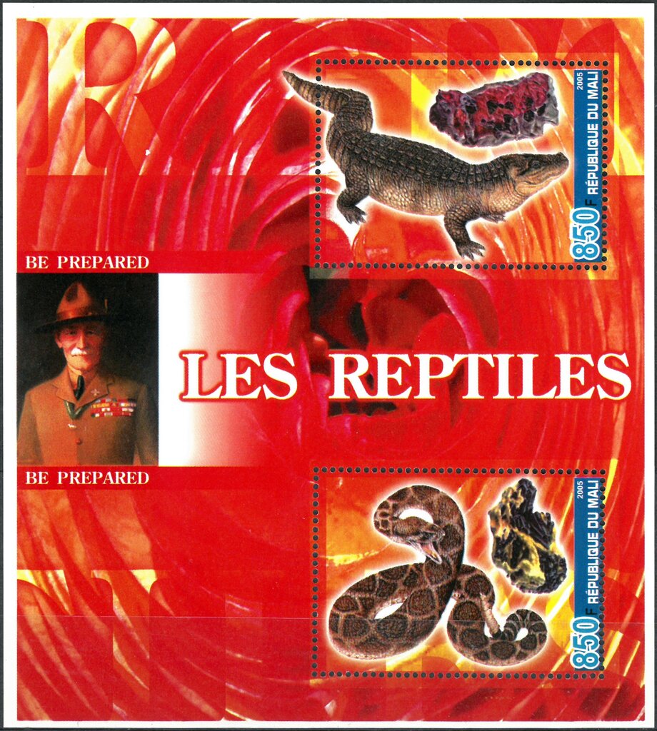 Reptiles, Minerals and Baden Powell