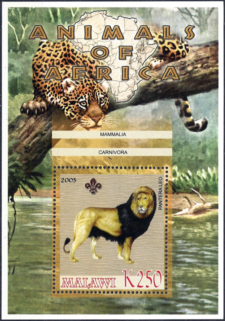 Animals of Africa