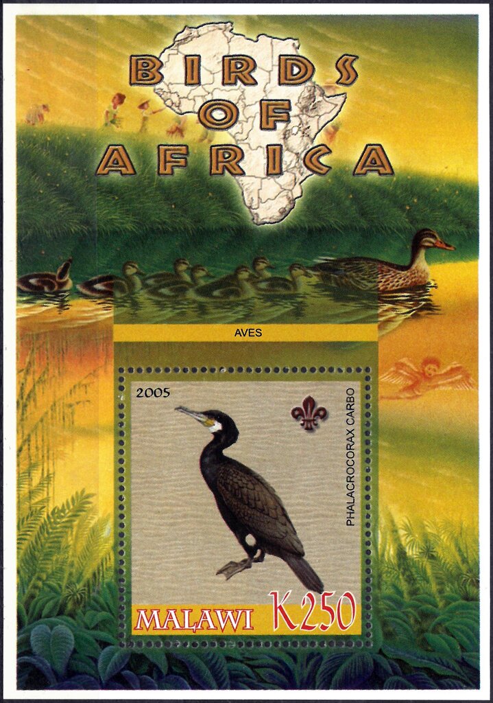 Birds of Africa
