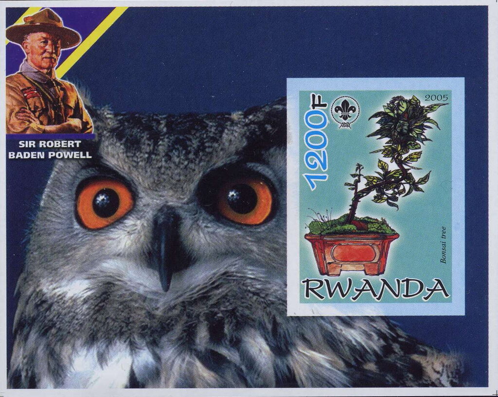 Bonsai Tree and Owl