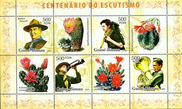 Centenary Scouts, cactus